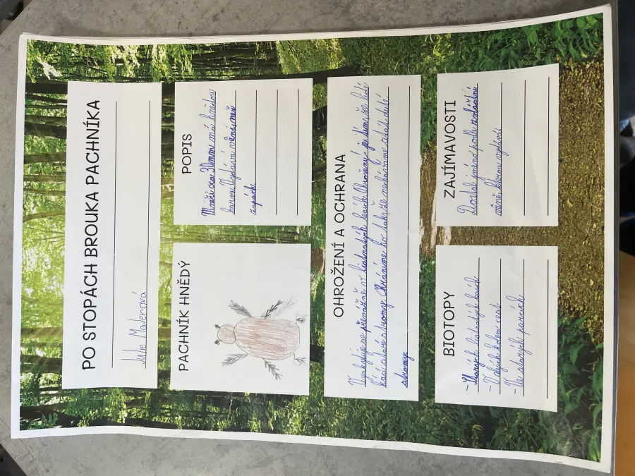 Po stopách brouka Pachníka