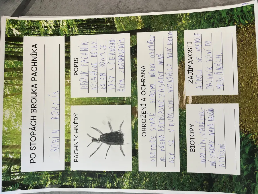 Po stopách brouka Pachníka