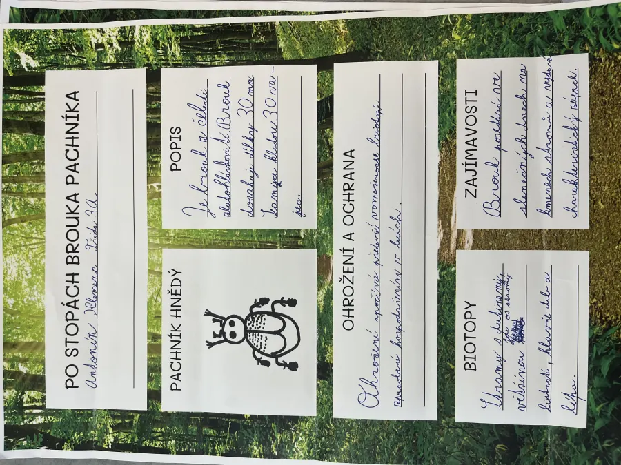 Po stopách brouka Pachníka